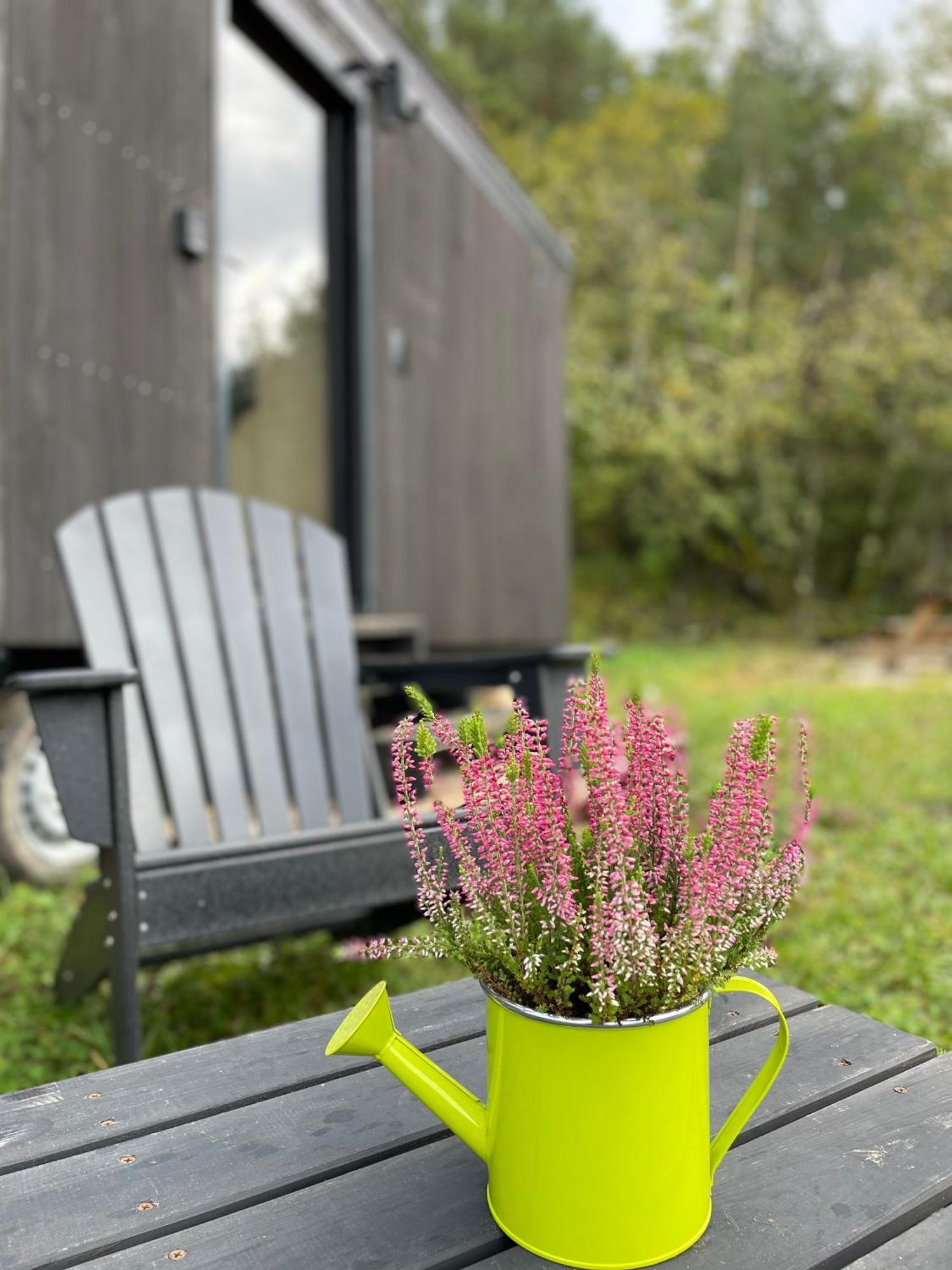L'Envolee Ecolodge, Tiny House Au Coeur Des Vignes Loches-sur-Ource Eksteriør billede